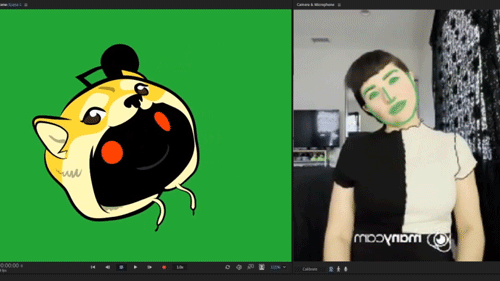 Demonstration of Snoo physics being affected by camera feed.
